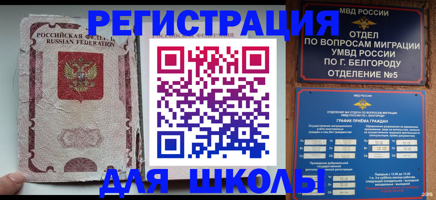 прописка гарантия в Дмитрове